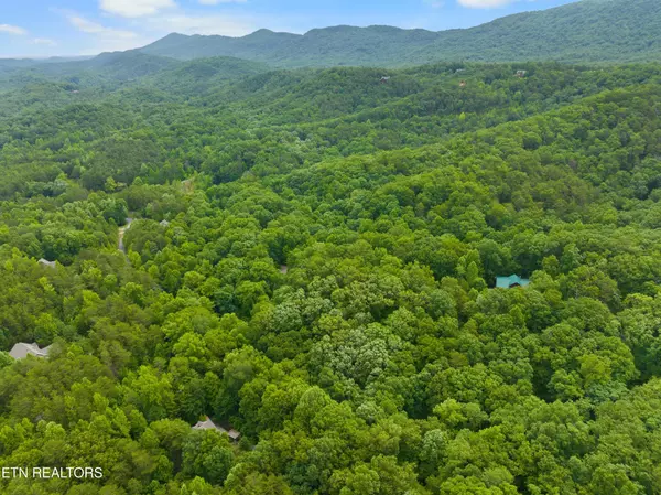 Maryville, TN 37803,750 Blue Beech Drive