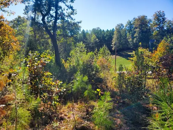 Big Sandy, TN 38221,0 New Hope Rd