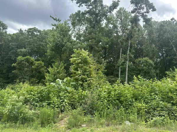 129 County Road 155,  Riceville,  TN 37370