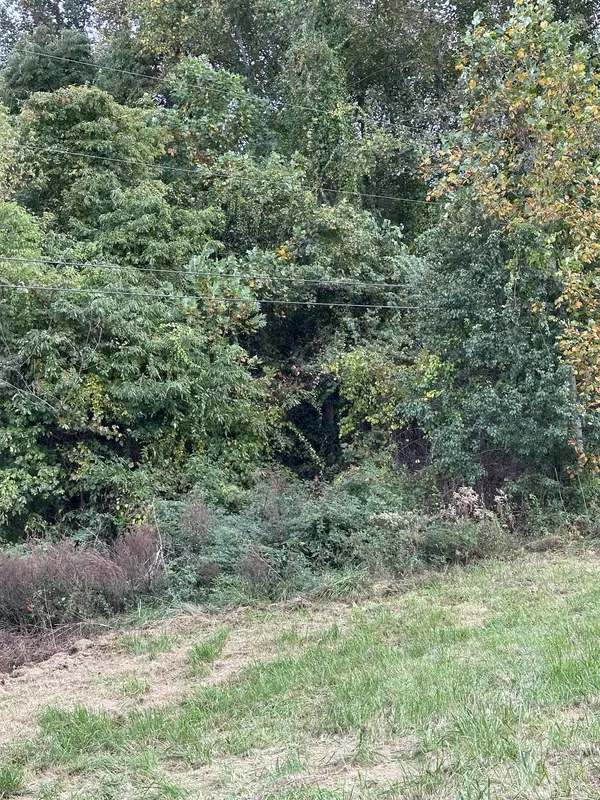 Mcminnville, TN 37110,0 Nannie South Ln