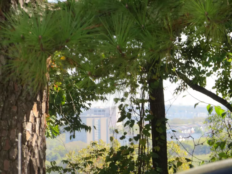 2306 Alpine Ave, Nashville, TN 37218