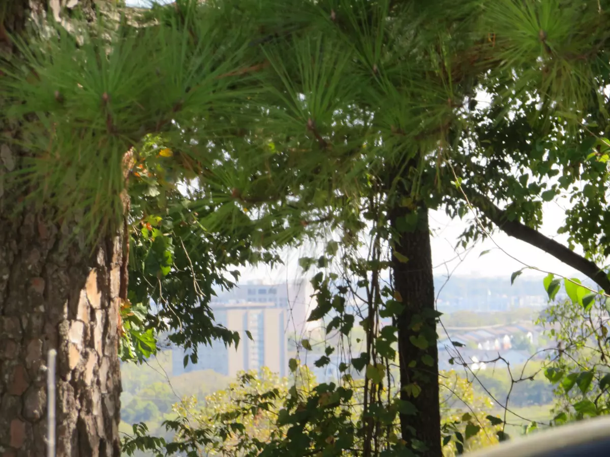 Nashville, TN 37218,2306 Alpine Ave