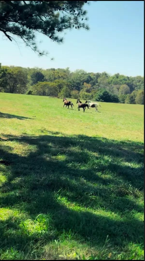 Arrington, TN 37014,7924 Nolensville Rd