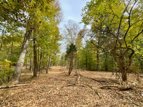 Cumberland City, TN 37050,5 Highway 149