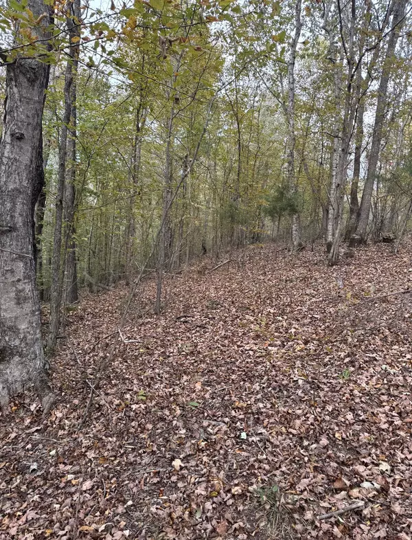 Waynesboro, TN 38485,0 Downing Hollow Road