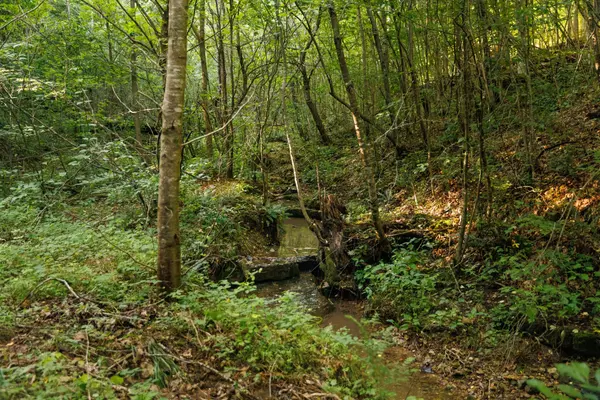 Fairview, TN 37062,7365 Coldwater Rd