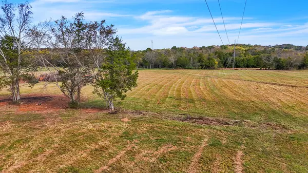 Lebanon, TN 37087,0 Rutledge Lane Tract 12