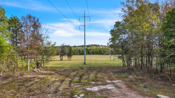 Lebanon, TN 37087,0 Rutledge Lane Tract 12