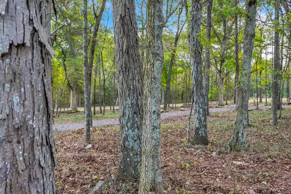 Lebanon, TN 37090,0 Rutledge Lane