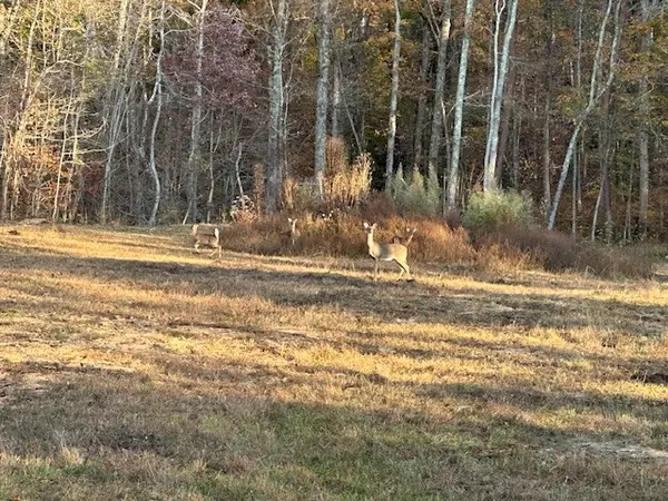 Kingston, TN 37763,270 Eagle Ridge Rd