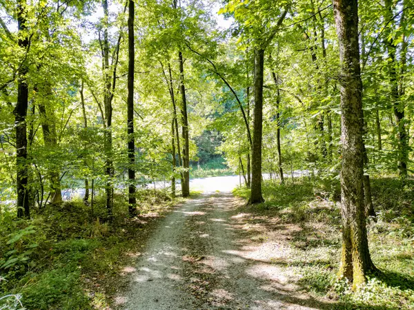 Columbia, TN 38401,1053 Sam Johnson Rd