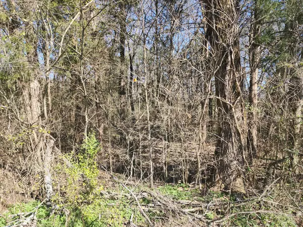 500 Highway 96 #N, Fairview, TN 37062