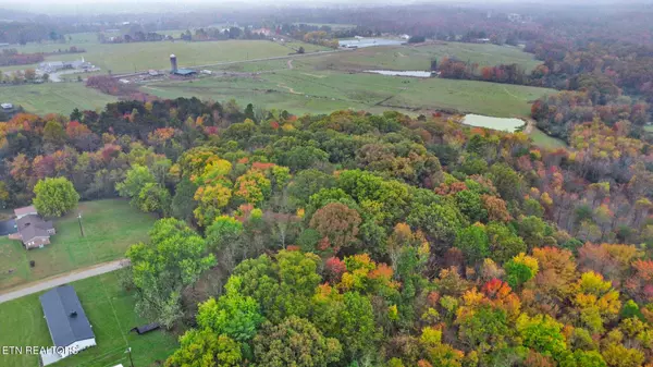 Jamestown, TN 38556,0 Allardt Hwy