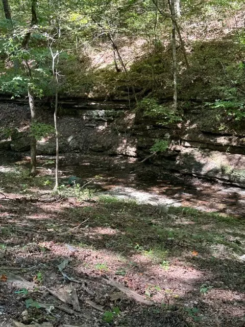 Pulaski, TN 38478,1075 Rose Hill Rd Tract 2