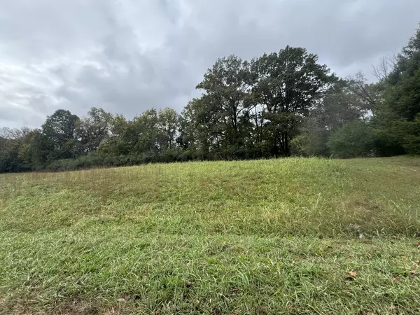 Columbia, TN 38401,0 Potter Dr