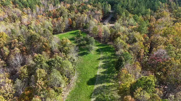 Linden, TN 37096,0 Ledbetter Hollow Rd