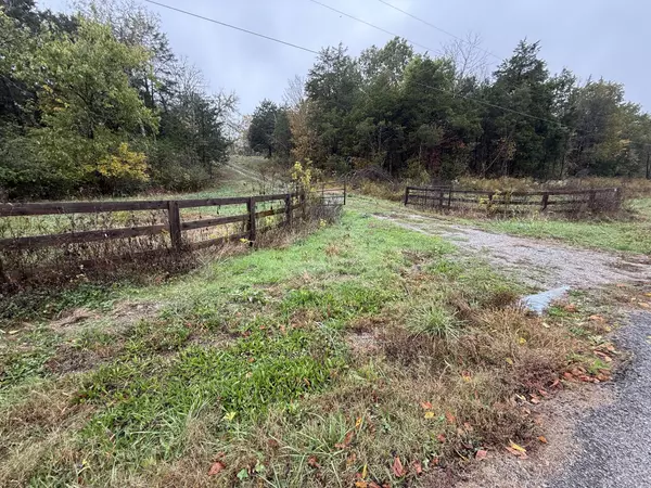 Cornersville, TN 37047,0 Beaver View Ln