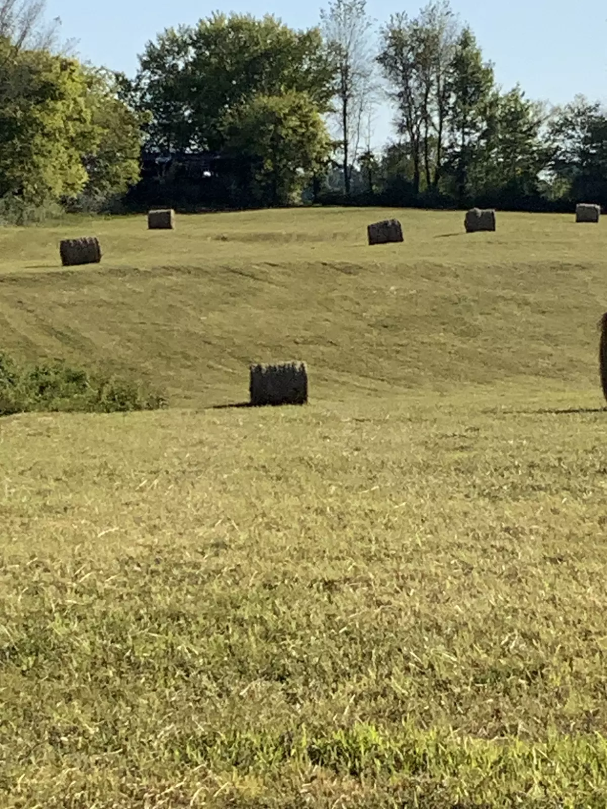 Primm Springs, TN 38476,0 Deer Ridge Road