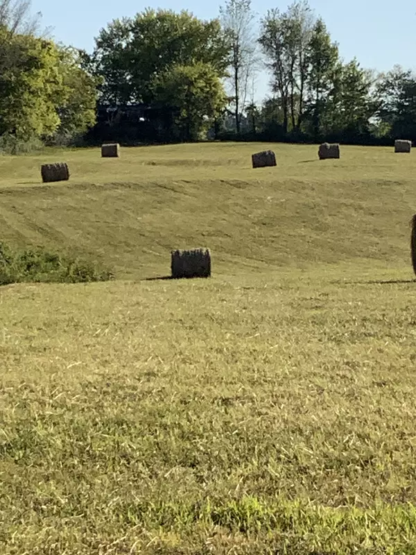 0 Deer Ridge Road, Primm Springs, TN 38476