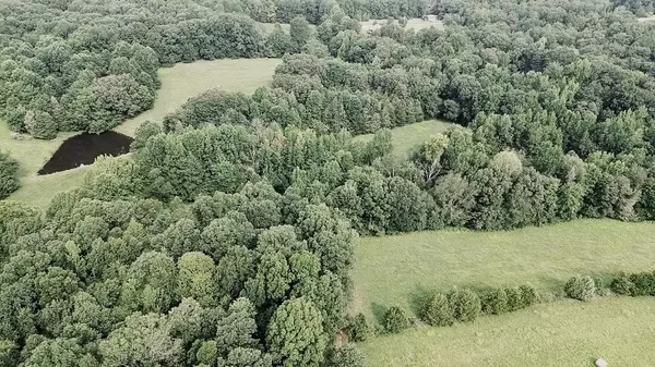 Cumberland Furnace, TN 37051,5128 Louise Rd