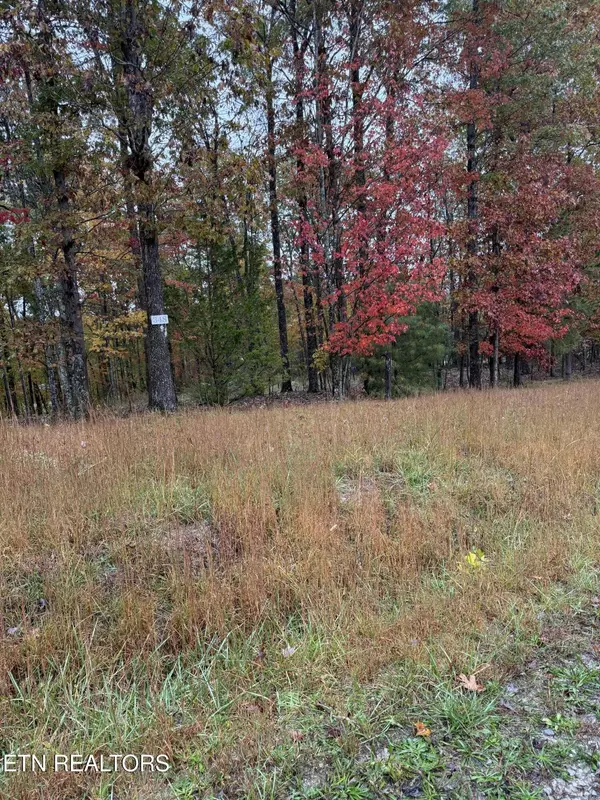 Jamestown, TN 38556,0 Crockett Crest Lane