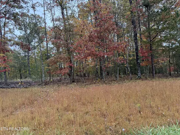 Jamestown, TN 38556,0 Crockett Crest Lane