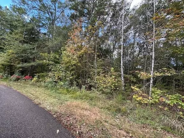 Savannah, TN 38372,12 BRECKENRIDGE LN