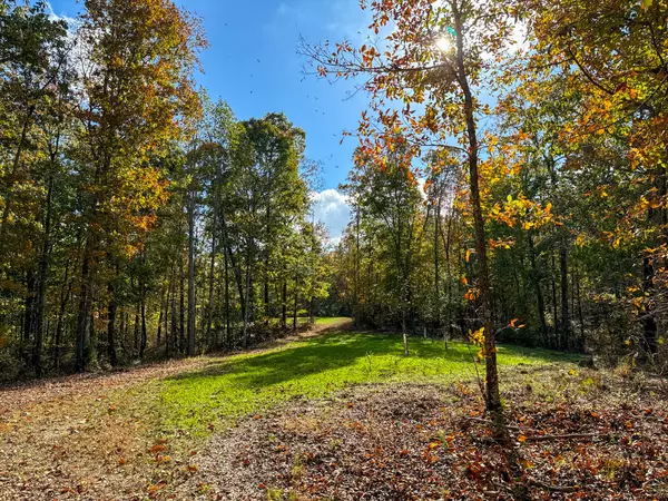 Linden, TN 37096,0 Ledbetter Hollow Rd