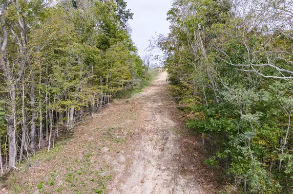 Silver Point, TN 38582,0 Helms Hollow Road