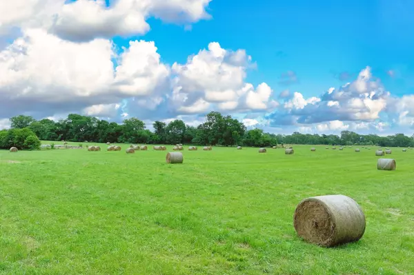 Gallatin, TN 37066,7 Deshea Creek Rd