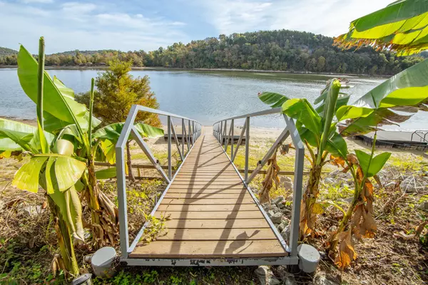 Decaturville, TN 38329,1040 Whites Creek Ln