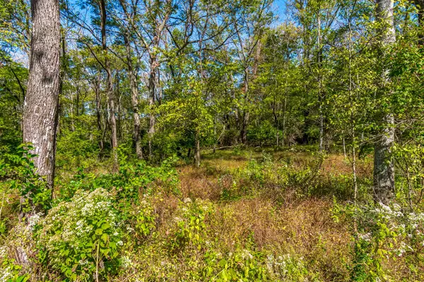 Franklin, TN 37064,4021 Baileys Cove Ct