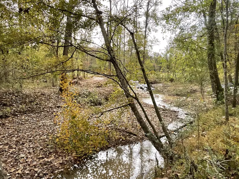 1 Budds Creek Road, Palmyra, TN 37142