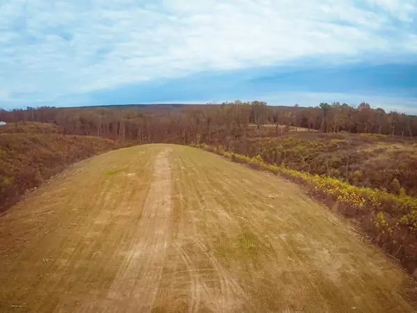 0 Springer Rd, Hohenwald, TN 38462