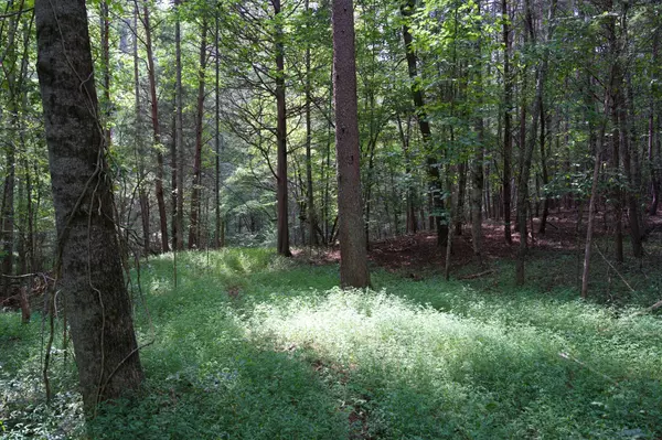 Rock Island, TN 38581,23 West of Barlow Rd