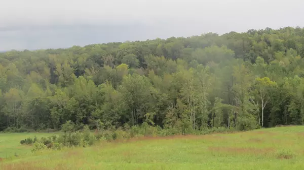 Decaturville, TN 38329,562 Roach Rd