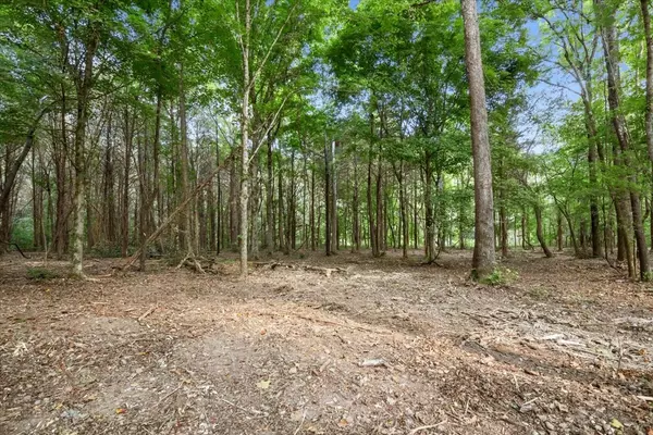 Mc Ewen, TN 37101,4407 Highway 231