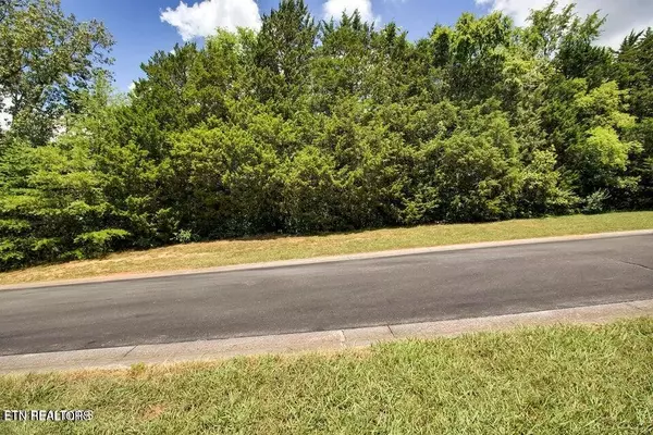 Vonore, TN 37885,154 Volunteer Lane