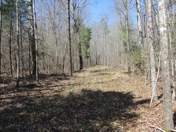 Parsons, TN 38363,0 Wilkinstown Rd