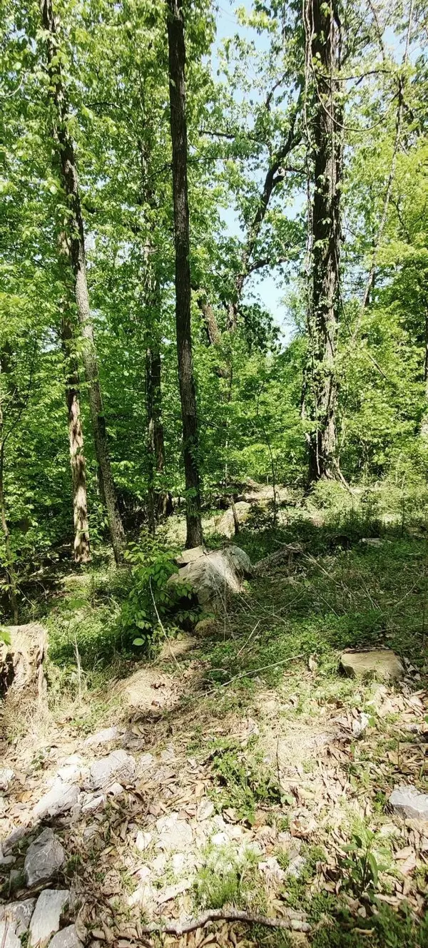 South Pittsburg, TN 37380,0 Coburntown (Lot 13) Road