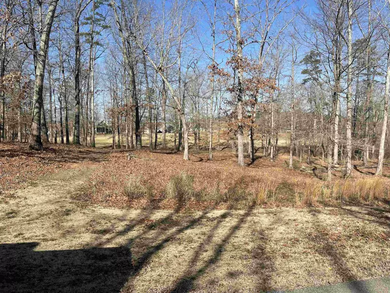 0 OLD SOUTH RD, Counce, TN 38326