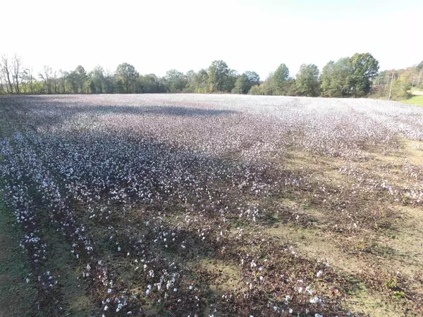 Adamsville, TN 38310,0 MAIN ST