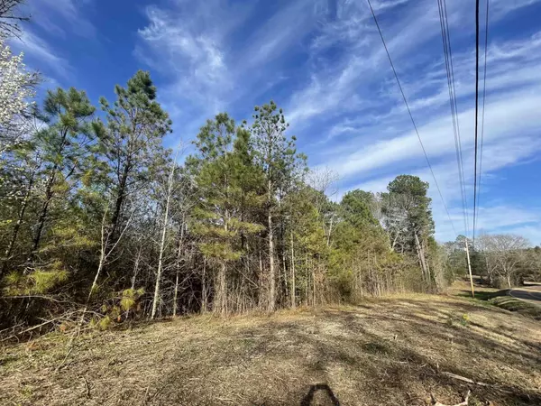 Sardis, TN 38371,35225 S Hwy 104