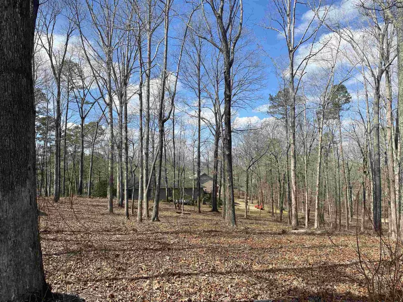 0 SANDPIPER PT & OLD SOUTH RD, Counce, TN 38326