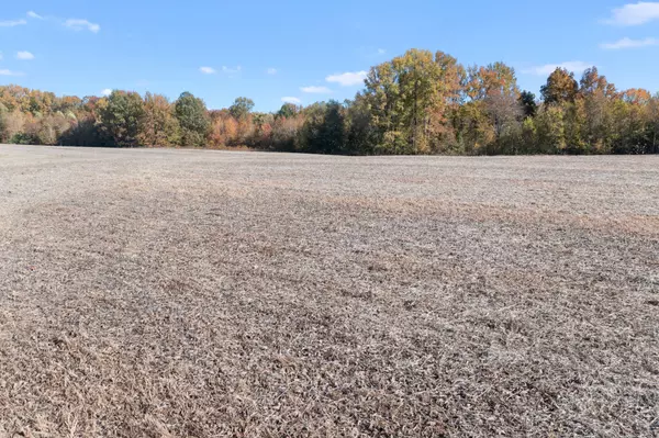 Springfield, TN 37172,0 Hwy 431 #N