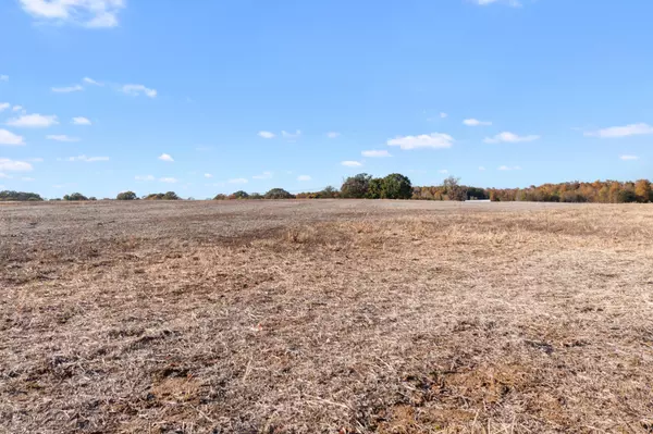 Springfield, TN 37172,0 Hwy 431 #N