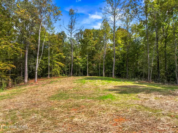 Newport, TN 37821,146 Fancher Rd