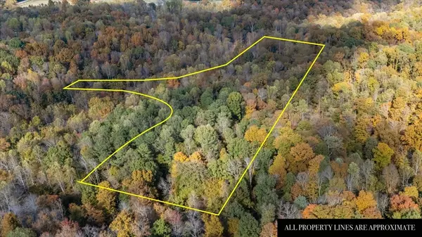 Vanleer, TN 37181,876 Little Leatherwood Rd