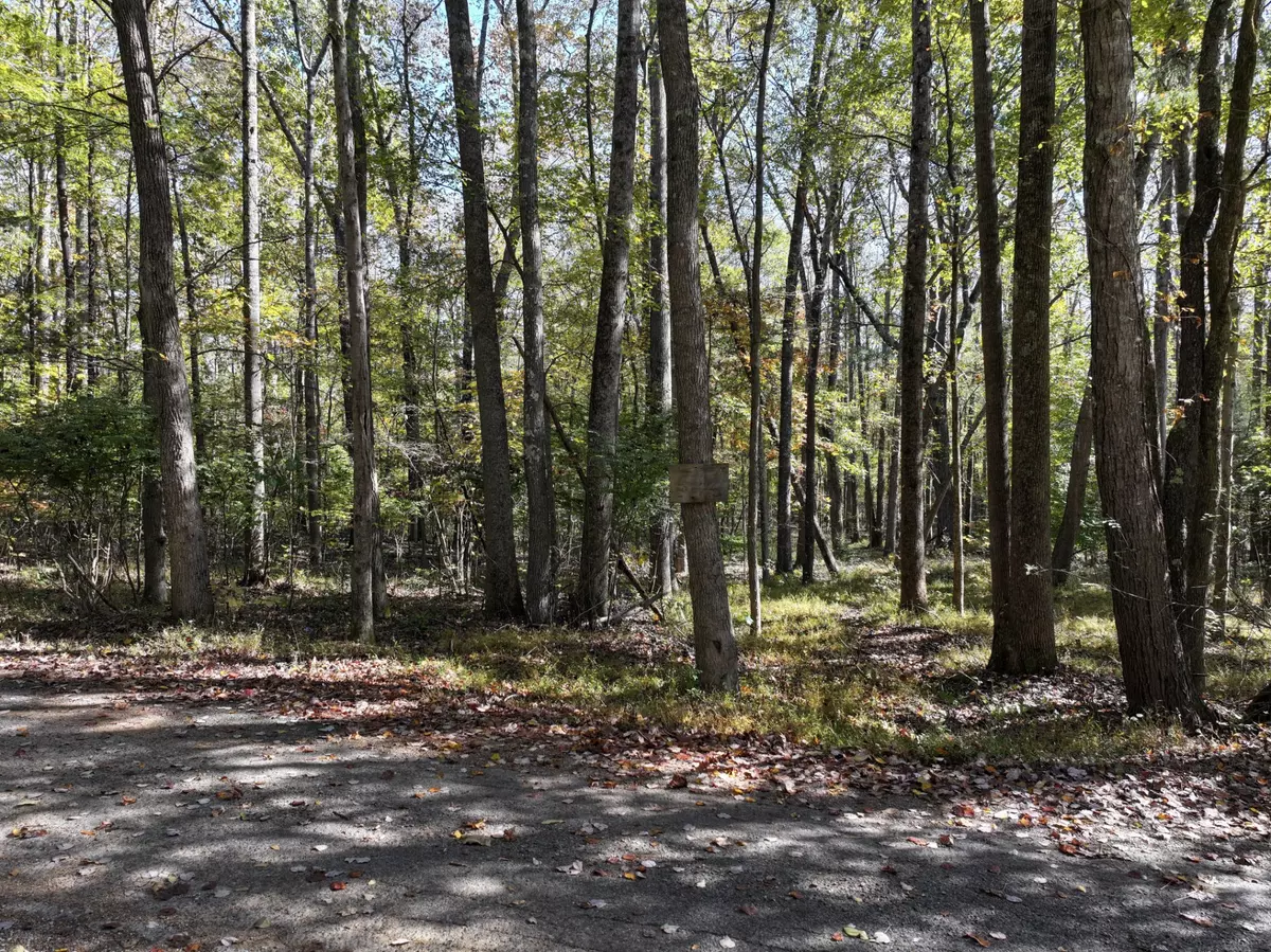 Murray, KY 42071,0 Kurtz Dr