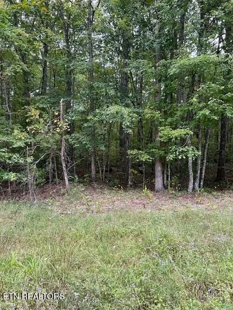 Monterey, TN 38574,0 Huckleberry